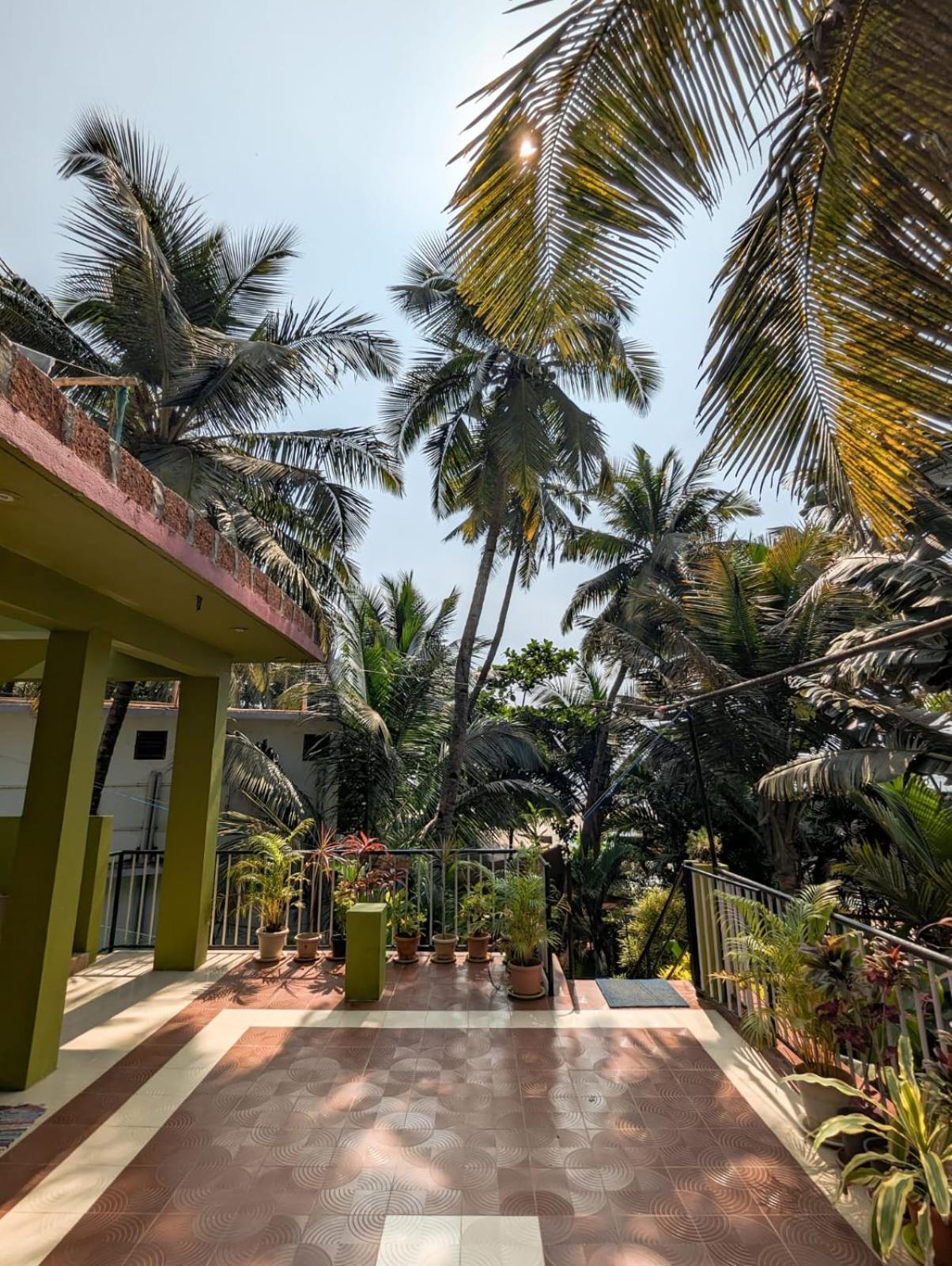 Luciano Guest House Arambol Exteriör bild